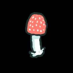 Amanita