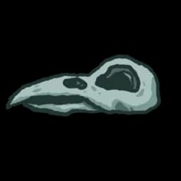 Bird Skull