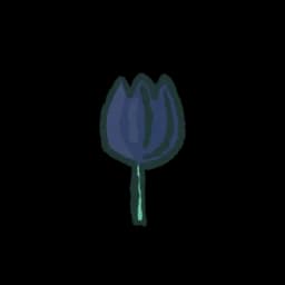 Black Tulip