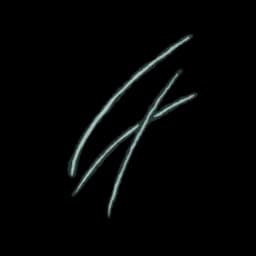 Cat Whiskers