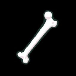 Clean Bone