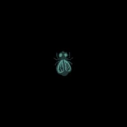 Fly