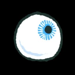 Human Eye