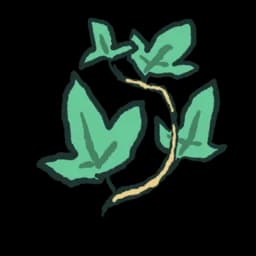 Ivy