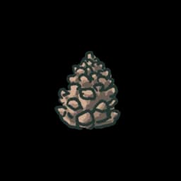 Pine Cone