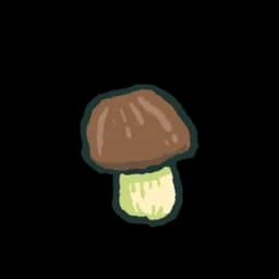 Porcini Mushroom