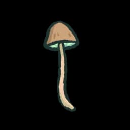 Shroom