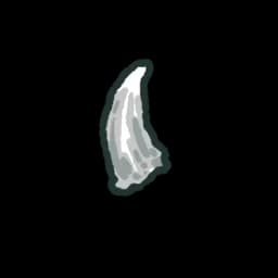 Werewolf Fang