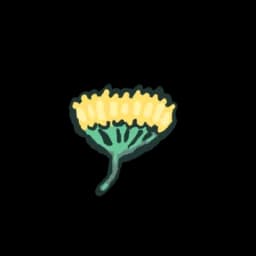 Agave Flower