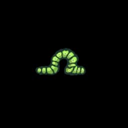 Caterpillar