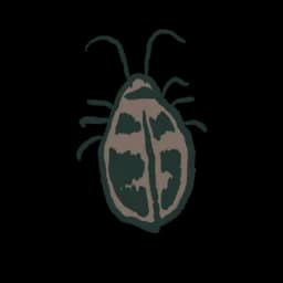 Cockroach