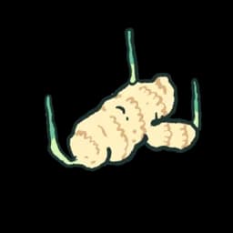 Ginger Root